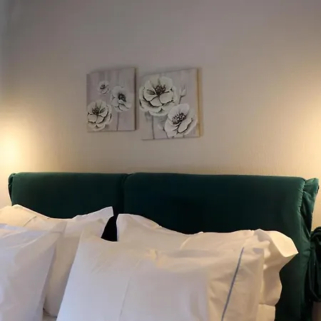 Olympus Paradise 3 سكوتينا