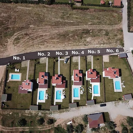 Olympus Paradise 3 سكوتينا