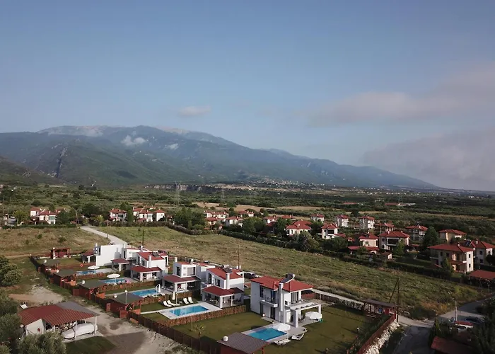 Olympus Paradise 3 Skotina