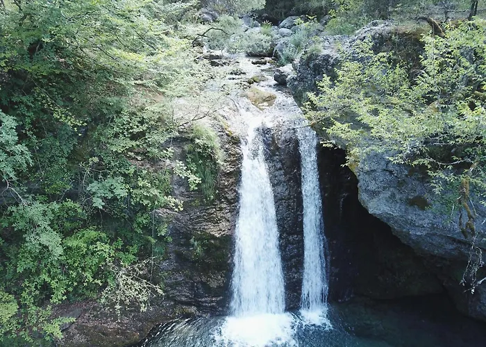 Olympus Paradise 3 Skotina